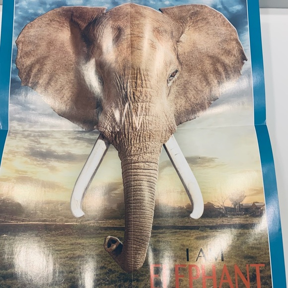 Jigsaw  Puzzle 🧩 - Picture 12 of 12